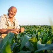 Guia do Trabalhador rural: Benefícios do INSS em 2023