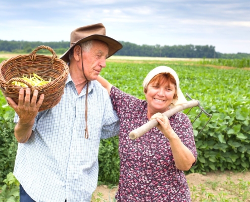 aposentadoria por idade rural