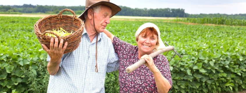 aposentadoria por idade rural