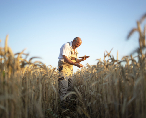 aposentadoria por idade