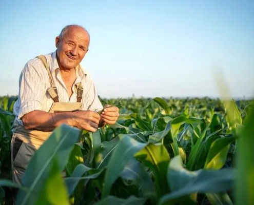 Aposentadoria Rural no INSS: Guia Completo de Averbação do Tempo de Serviço Rural