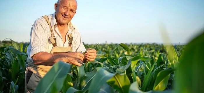 Aposentadoria Rural no INSS: Guia Completo de Averbação do Tempo de Serviço Rural