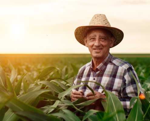 Aposentadoria Rural Negada pelo INSS: Como Recorrer e Garantir Seus Direitos