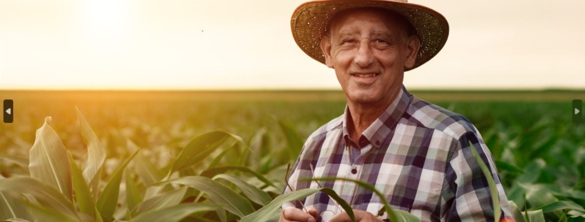 Aposentadoria Rural Negada pelo INSS: Como Recorrer e Garantir Seus Direitos