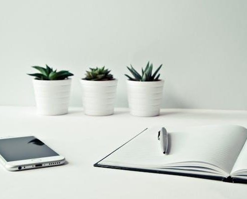 Falta de carteira de trabalho assinada