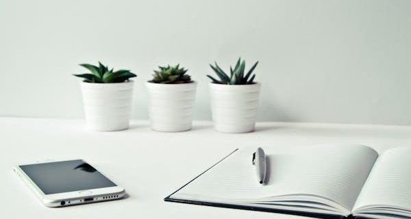 Falta de carteira de trabalho assinada