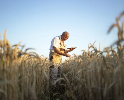 A Importância Estratégica de Estabelecer Parcerias Estruturadas com Cooperativas