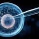 FIV, endometriose e plano de saúde: quando a cobertura do tratamento, das técnicas e do congelamento pode ser discutida