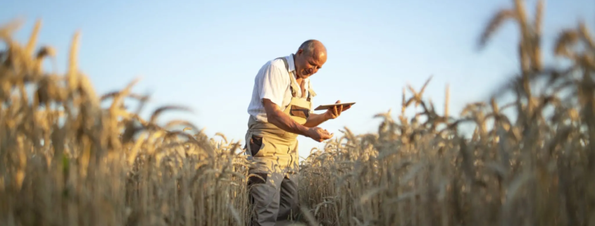 Aposentadoria por idade urbana e híbrida em 2026: requisitos, cálculo e como somar tempo rural